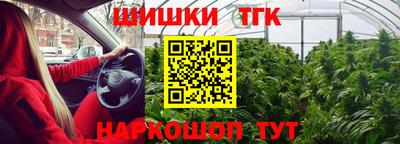 стафф Камышлов