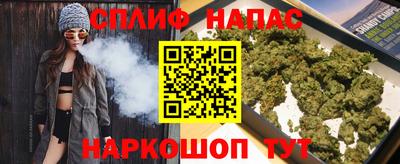 стафф Камышлов