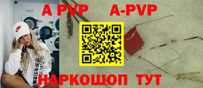 стафф Камышлов