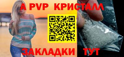 стафф Камышлов